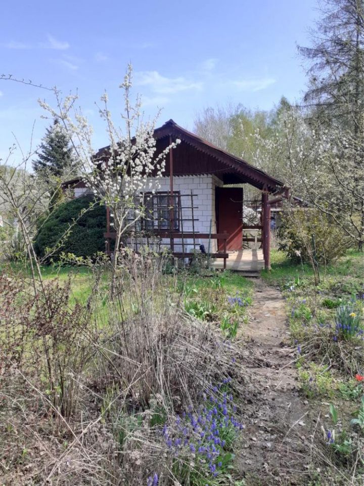 Działka rod Zielonka. Zdjęcie 3