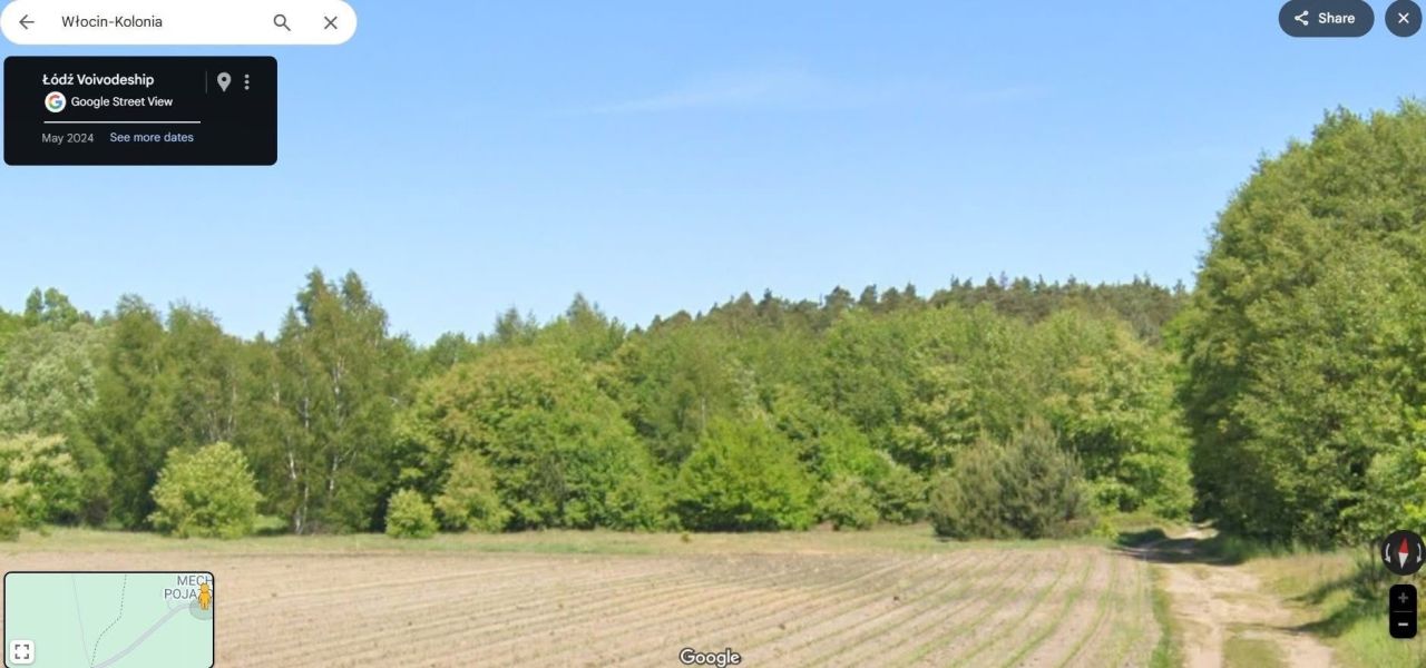 Działka leśna Włocin-Kolonia. Zdjęcie 8