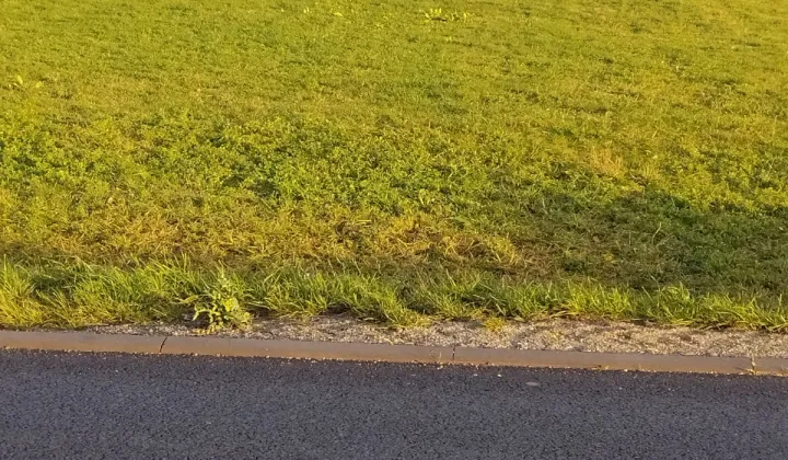 Działka budowlana Mokrsko