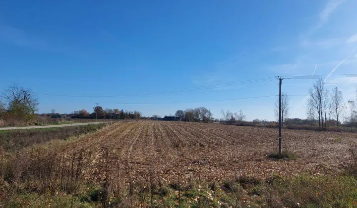 Działka rolna Karsy Małe