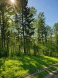 Działka rolno-budowlana Konradów. Zdjęcie 1