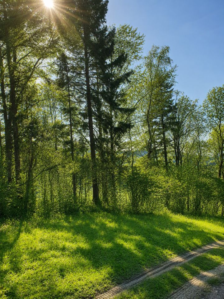 Działka rolno-budowlana Konradów. Zdjęcie 3