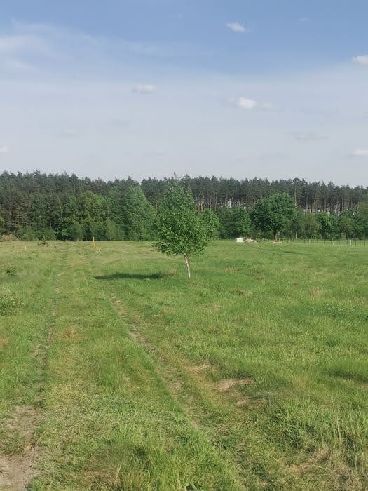 Działka budowlana Porządzie. Zdjęcie 4