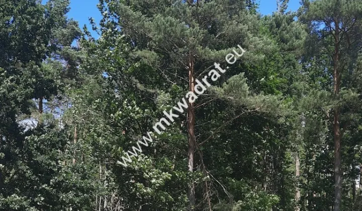 Działka budowlana Stara Wieś