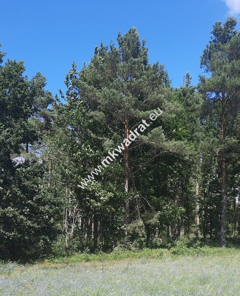 Działka budowlana Stara Wieś. Zdjęcie 1