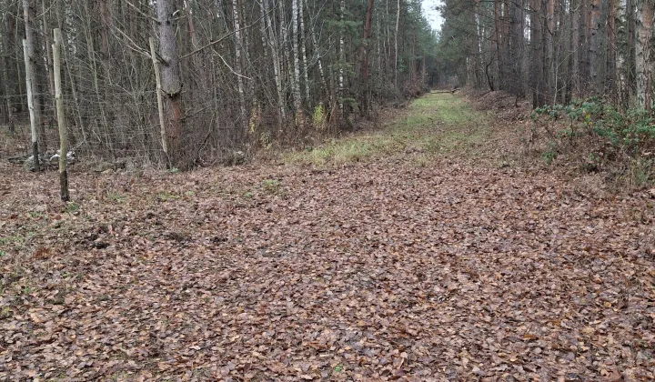 Działka budowlana Ostrowiec Świętokrzyski Koszary, ul. Bałtowska