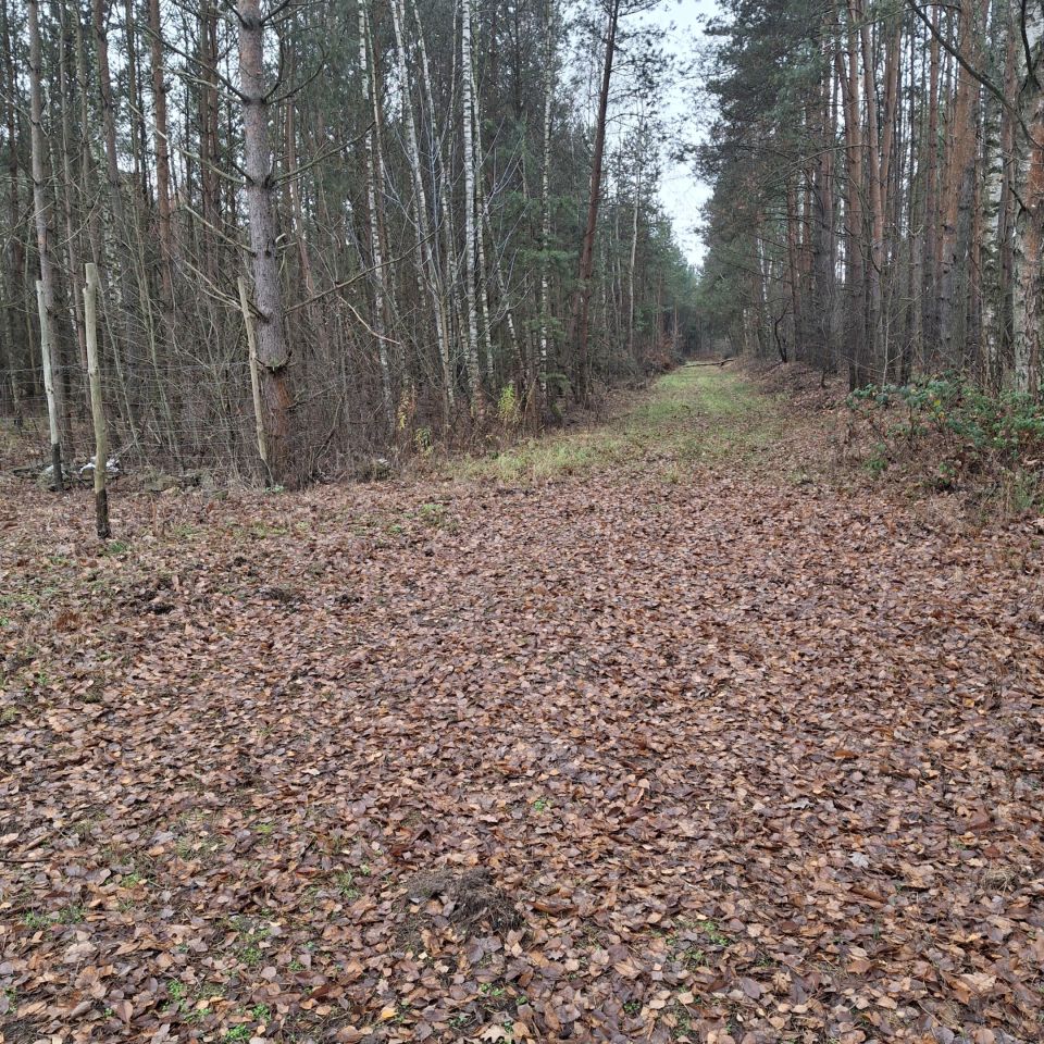 Działka budowlana Ostrowiec Świętokrzyski Koszary, ul. Bałtowska. Zdjęcie 1