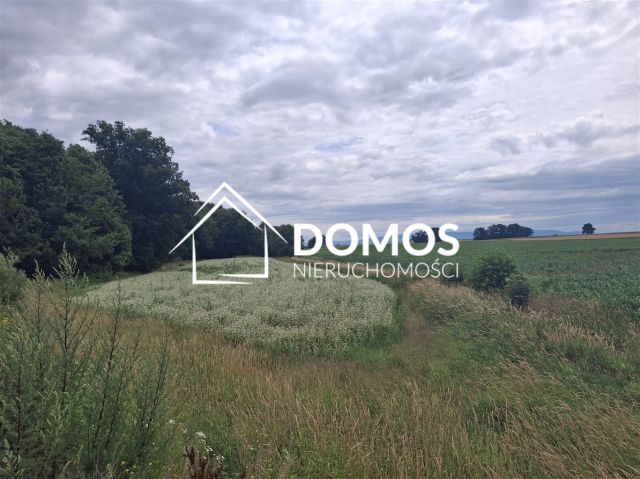 Działka rolna Ćwiklice, ul. Męczenników Oświęcimskich. Zdjęcie 2