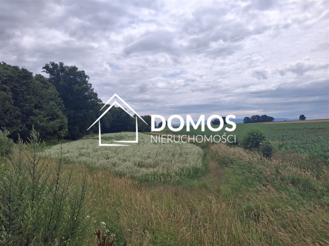 Działka rolna Ćwiklice, ul. Męczenników Oświęcimskich. Zdjęcie 2