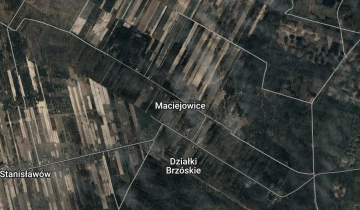 Działka leśna Maciejowice Parowa