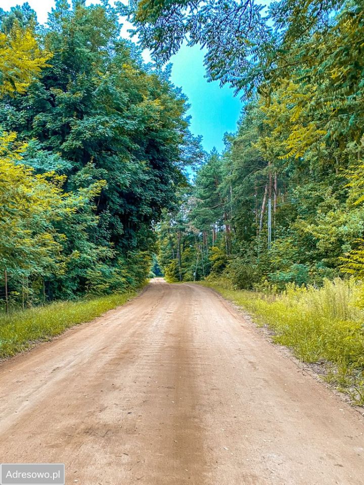 Działka rekreacyjna Wola Smolana. Zdjęcie 10