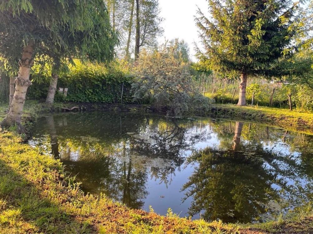 Działka rod Rypin. Zdjęcie 5