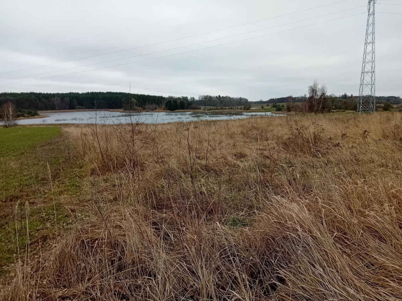 Działka budowlana Binowo. Zdjęcie 12