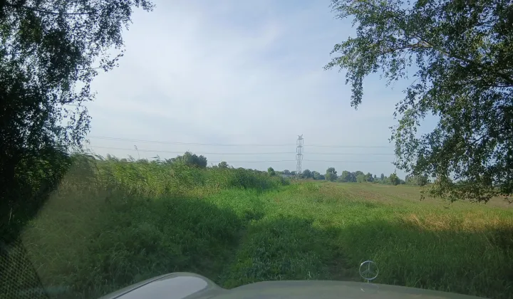 Działka rolna Gdańsk Niegowo, ul. Niegowo
