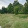 Działka budowlana Tleń, ul. Leszczynowa. Zdjęcie 4