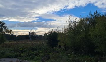 Działka rolna Pyrzyce, ul. Spokojna