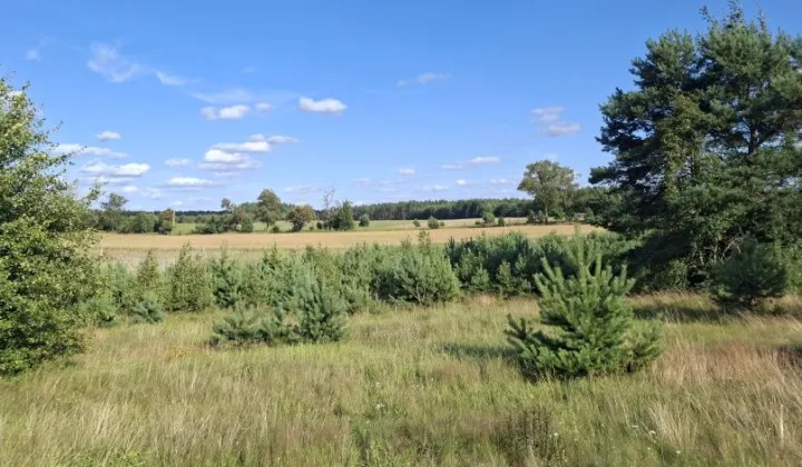 Działka budowlana Spore