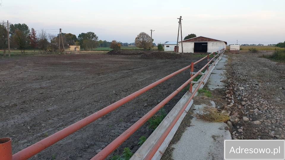 Działka rolna Wola Trębska. Zdjęcie 5