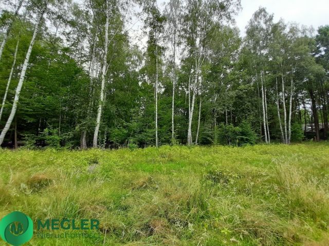 Działka budowlana Podkowa Leśna. Zdjęcie 6