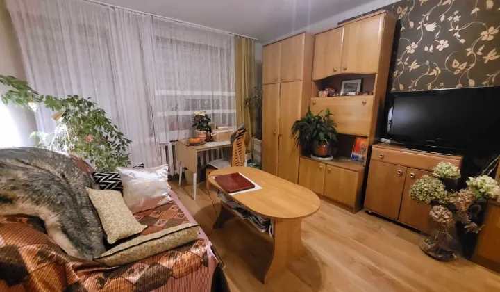 Mieszkanie 1-pokojowe Siemianowice Śląskie, ul. Jana Sobieskiego