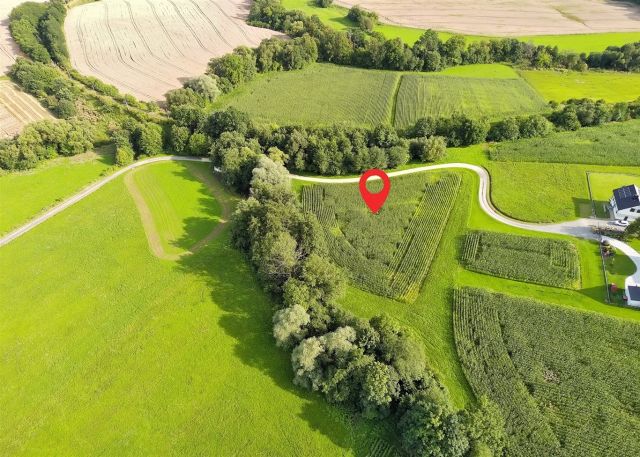 Działka siedliskowa Bielowicko. Zdjęcie 8