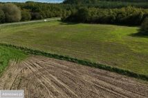 Mieszkanie 4-pokojowe Drewno. Zdjęcie 3