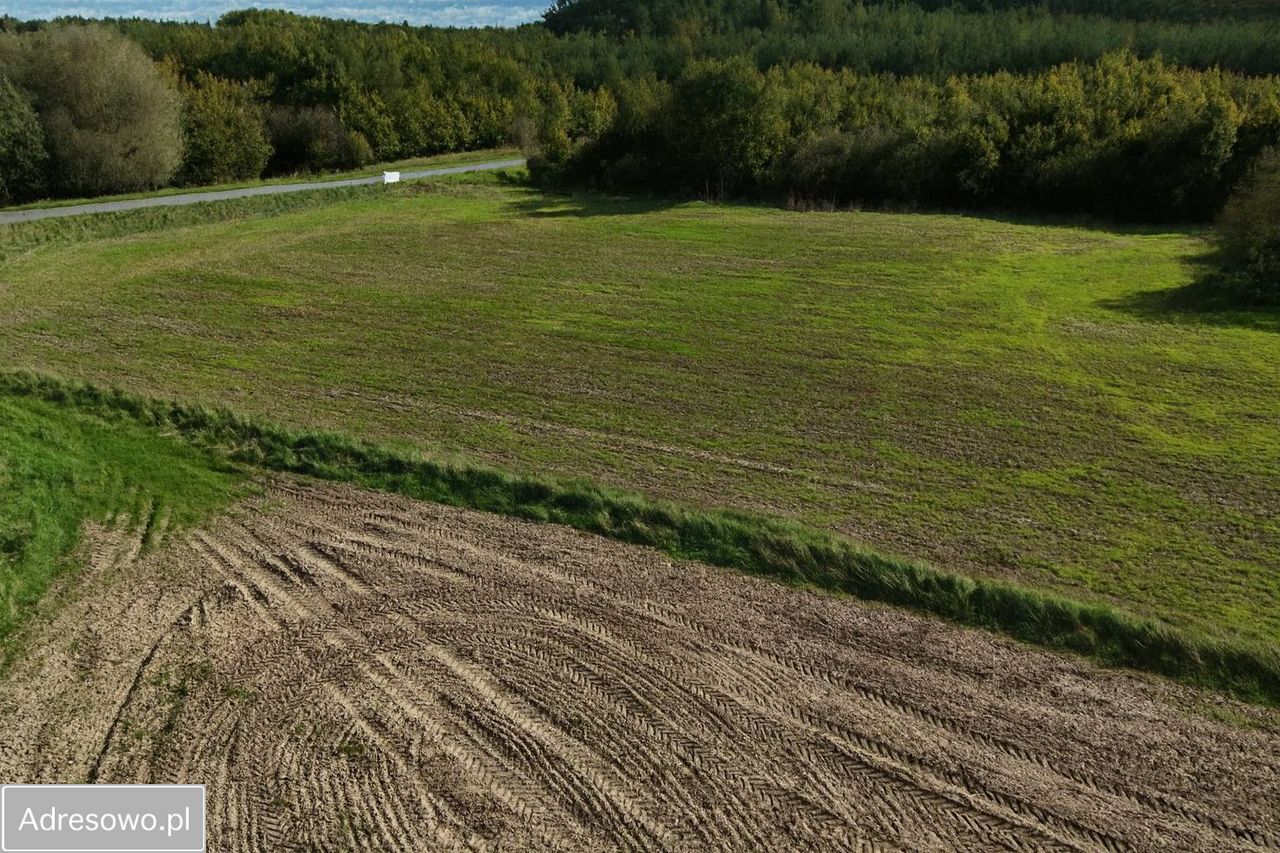 Mieszkanie 4-pokojowe Drewno. Zdjęcie 4