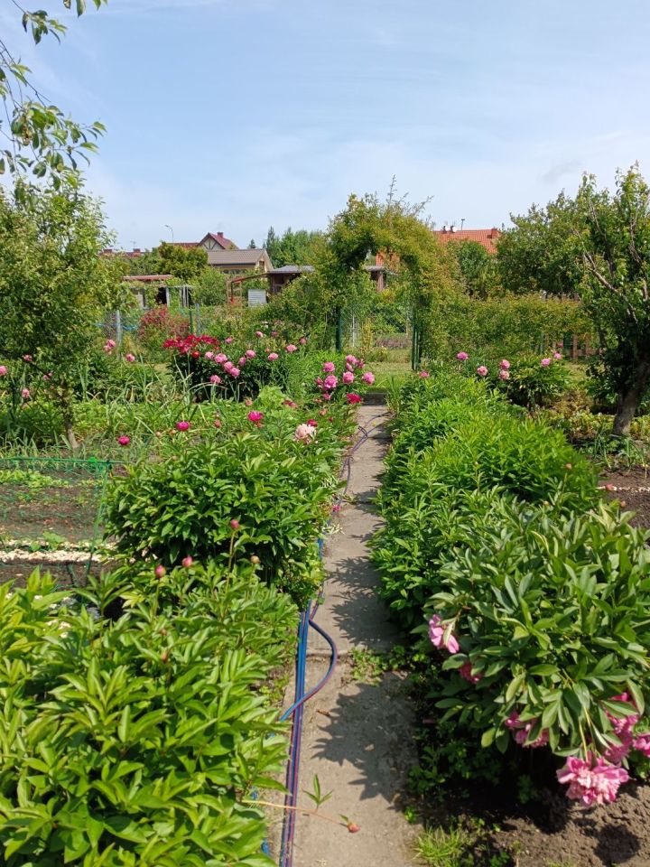 Działka rod Niekłonice. Zdjęcie 8