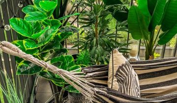 Mieszkanie 3-pokojowe Warszawa Mokotów, ul. Magazynowa