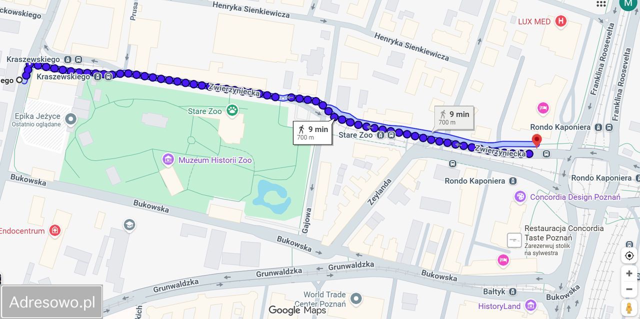 Mieszkanie 1-pokojowe Poznań Jeżyce, ul. Józefa Ignacego Kraszewskiego. Zdjęcie 18