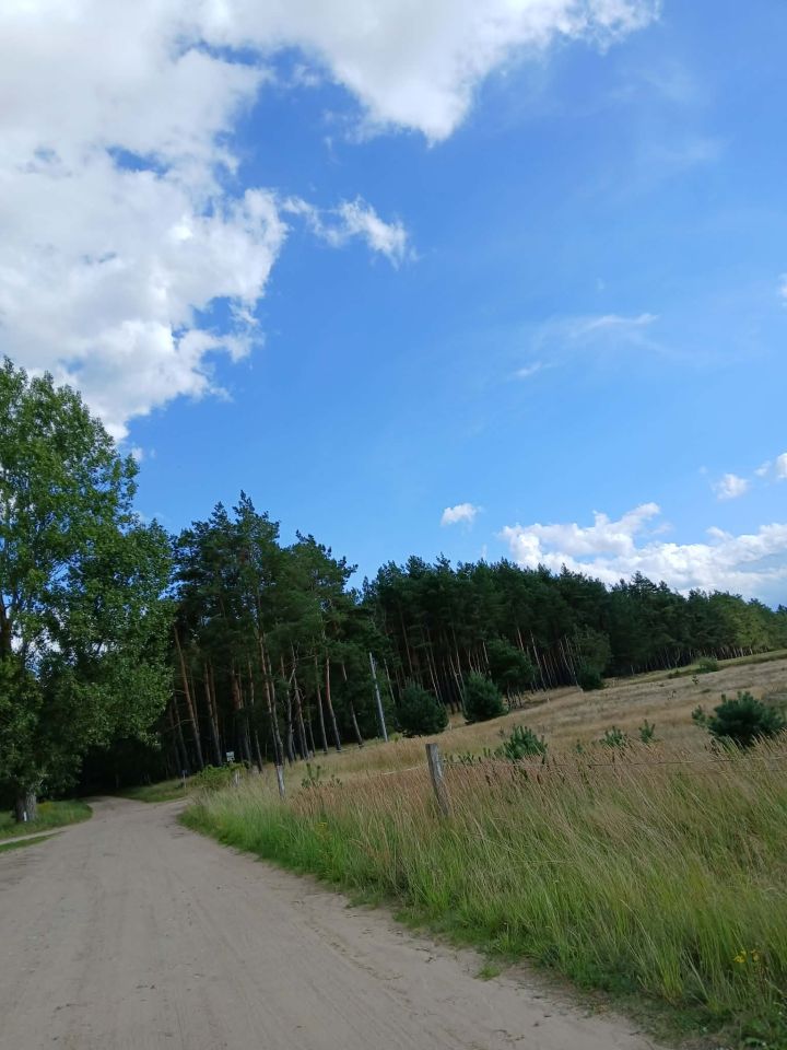 Działka budowlana Wymysłowo. Zdjęcie 6