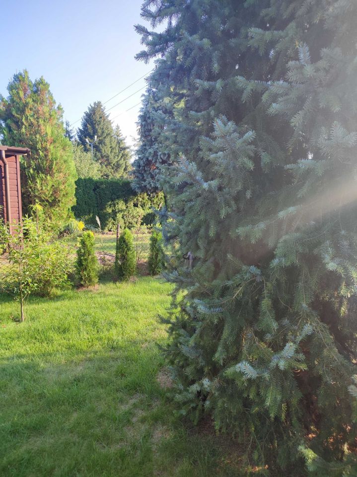 Działka rod Grodzisk Mazowiecki, ul. Akacjowa. Zdjęcie 8