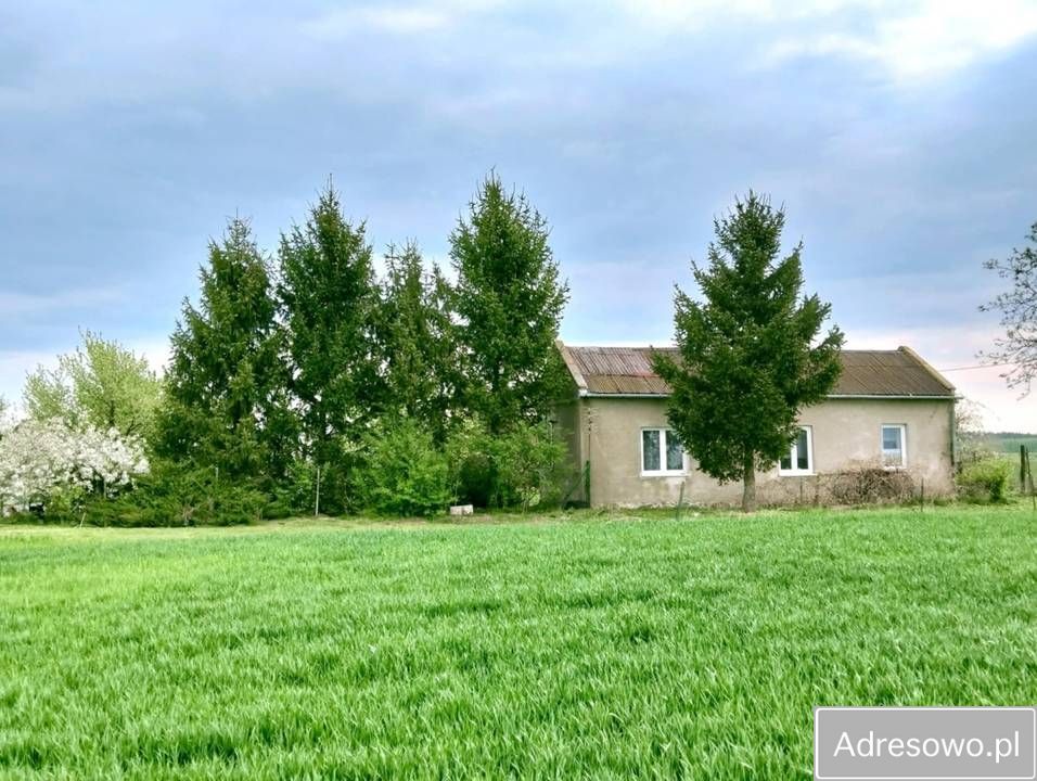 dom wolnostojący, 2 pokoje Pacyna