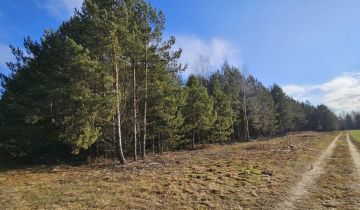 Działka budowlana Drogoszowice