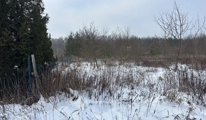 Działka rolna Nowy Prażmów, ul. Leśna