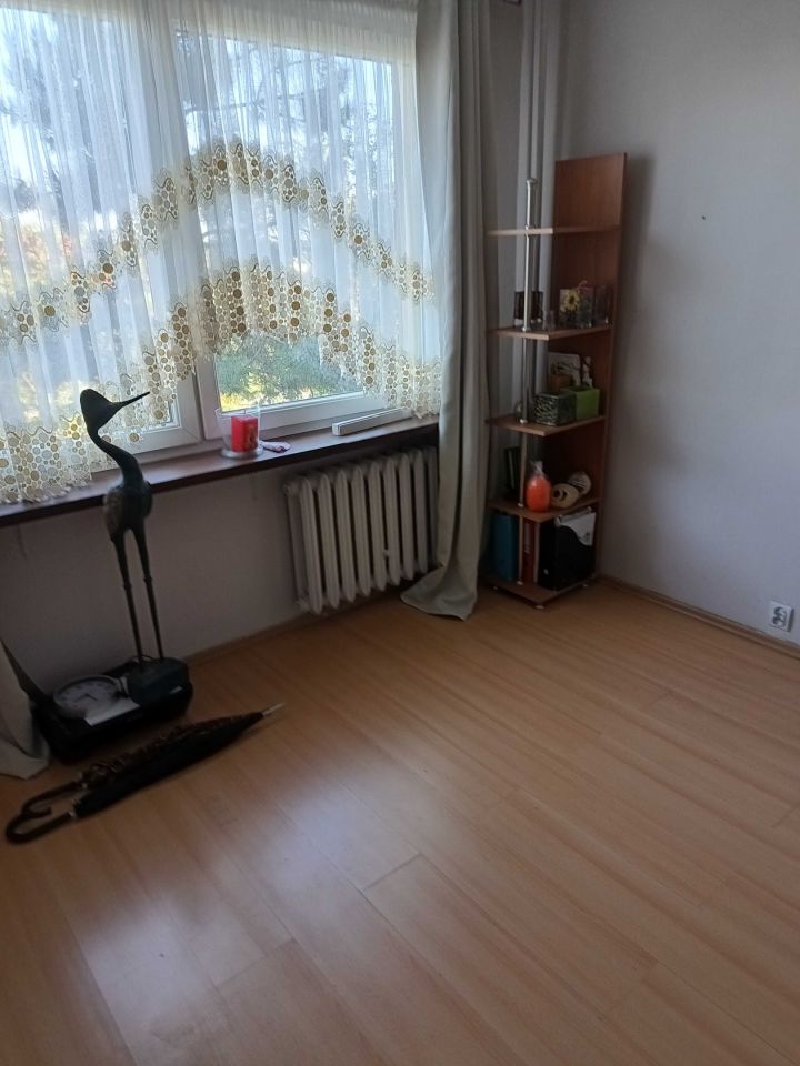 Zdjęcie 7