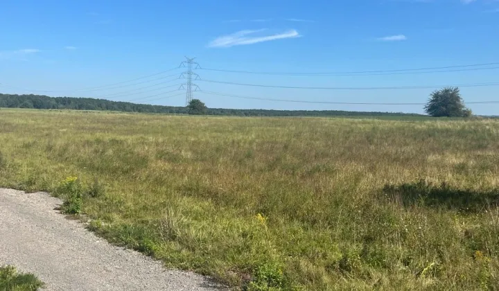 Działka budowlana Poręba Krawce, ul. Leszczynowa