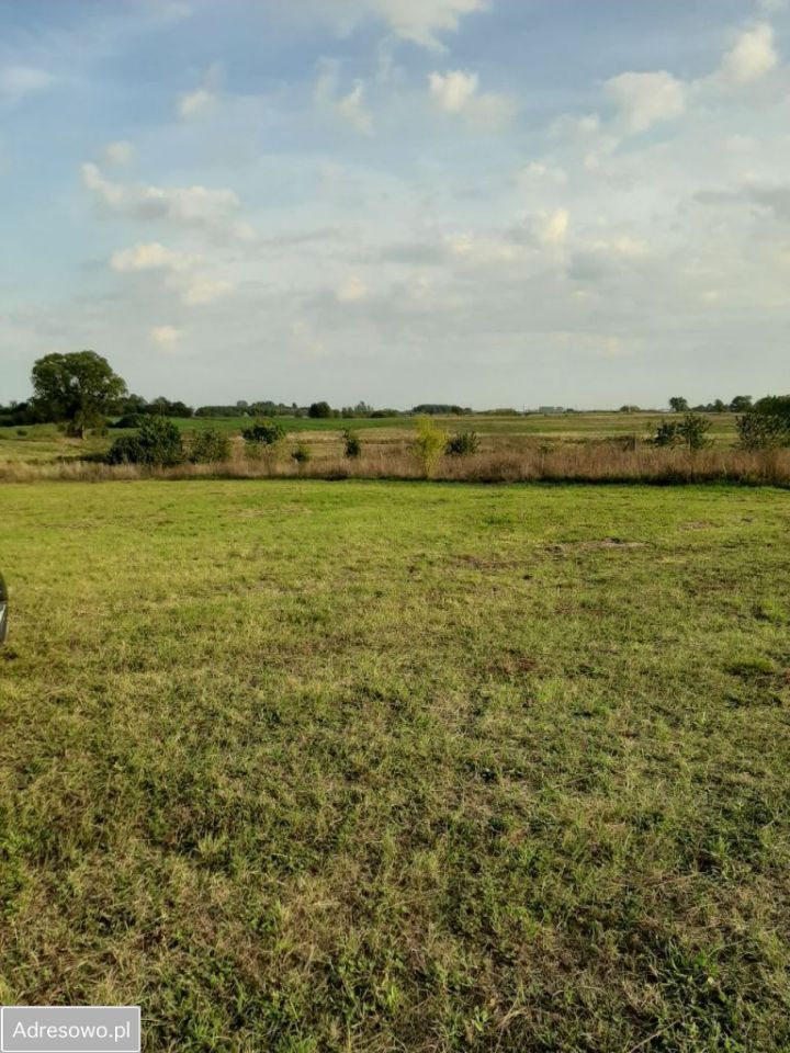 Działka inwestycyjna Sarbia. Zdjęcie 3