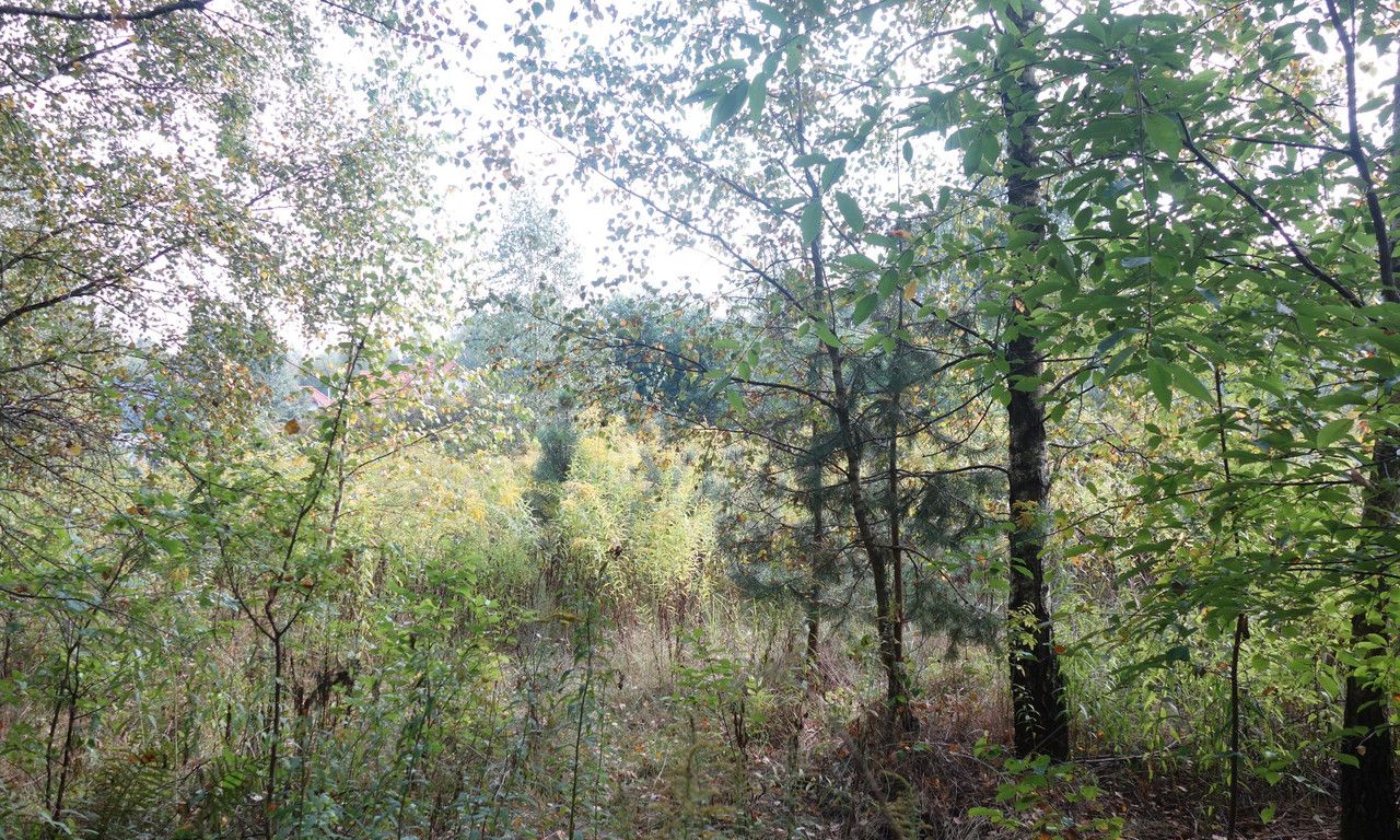 Działka budowlana Wódka, ul. Słoneczna. Zdjęcie 6