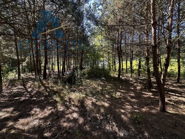 dom wolnostojący, 8 pokoi Jarużyn. Zdjęcie 11