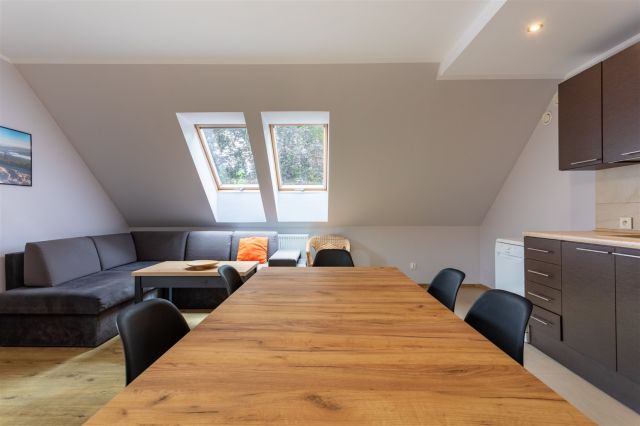 Mieszkanie 3-pokojowe Karpacz. Zdjęcie 8