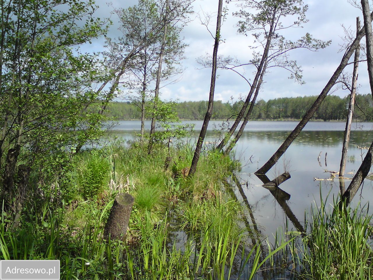dom wolnostojący, 6 pokoi Zielonka. Zdjęcie 15