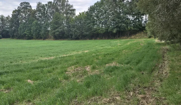 Działka budowlana Młodziejowice