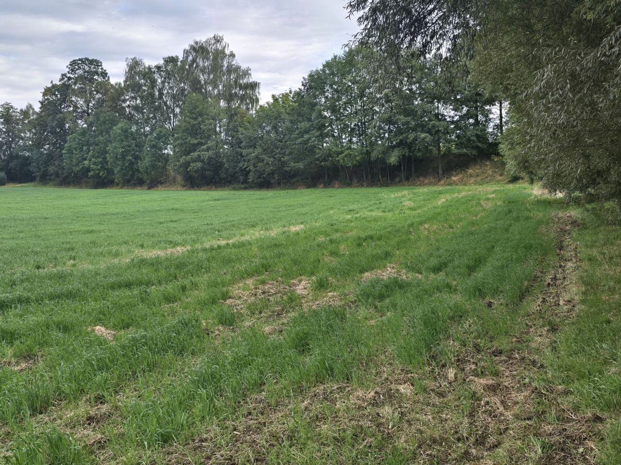 Działka budowlana Młodziejowice. Zdjęcie 1