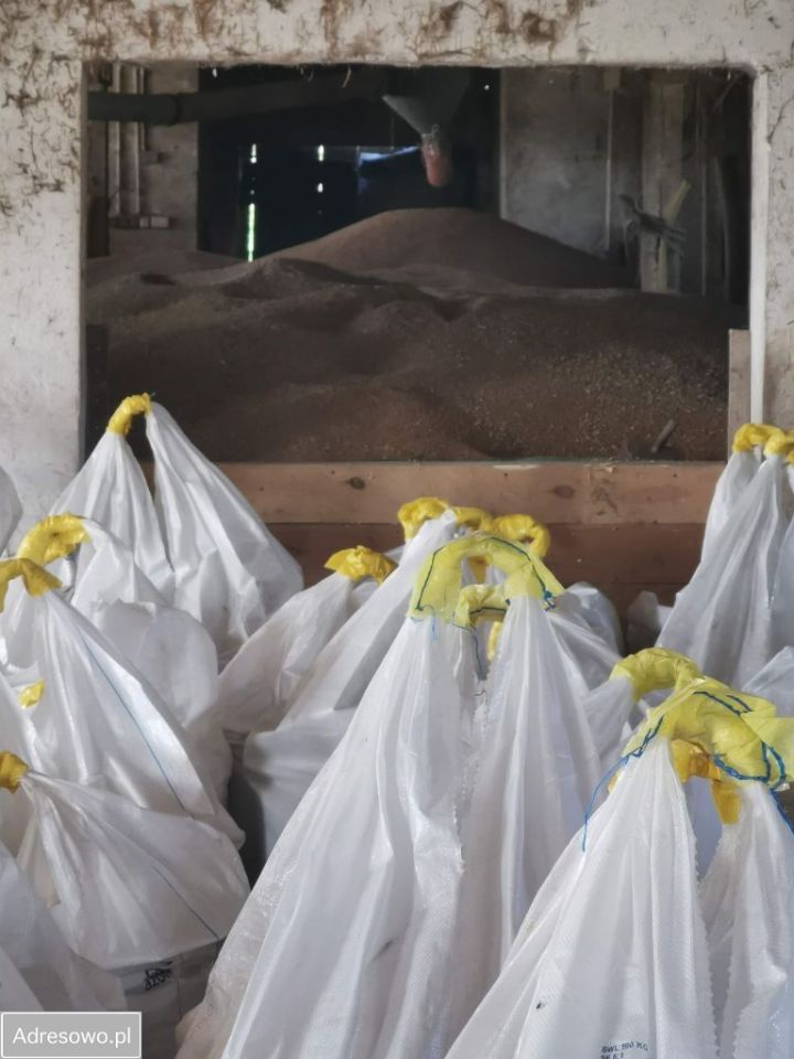 Nieruchomość komercyjna Pomnik. Zdjęcie 6