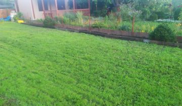 Działka rod Leszno Zatorze, ul. Spółdzielcza