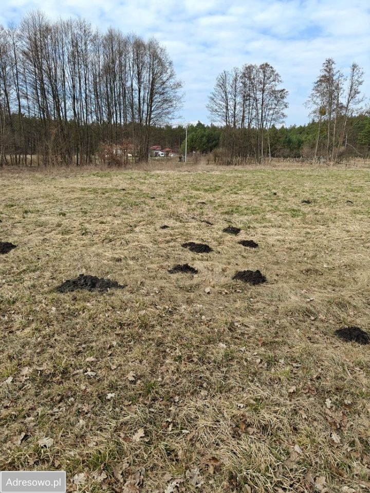Działka rolna Górnica. Zdjęcie 5
