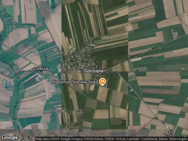 Działka rolna Gorzupia. Zdjęcie 1
