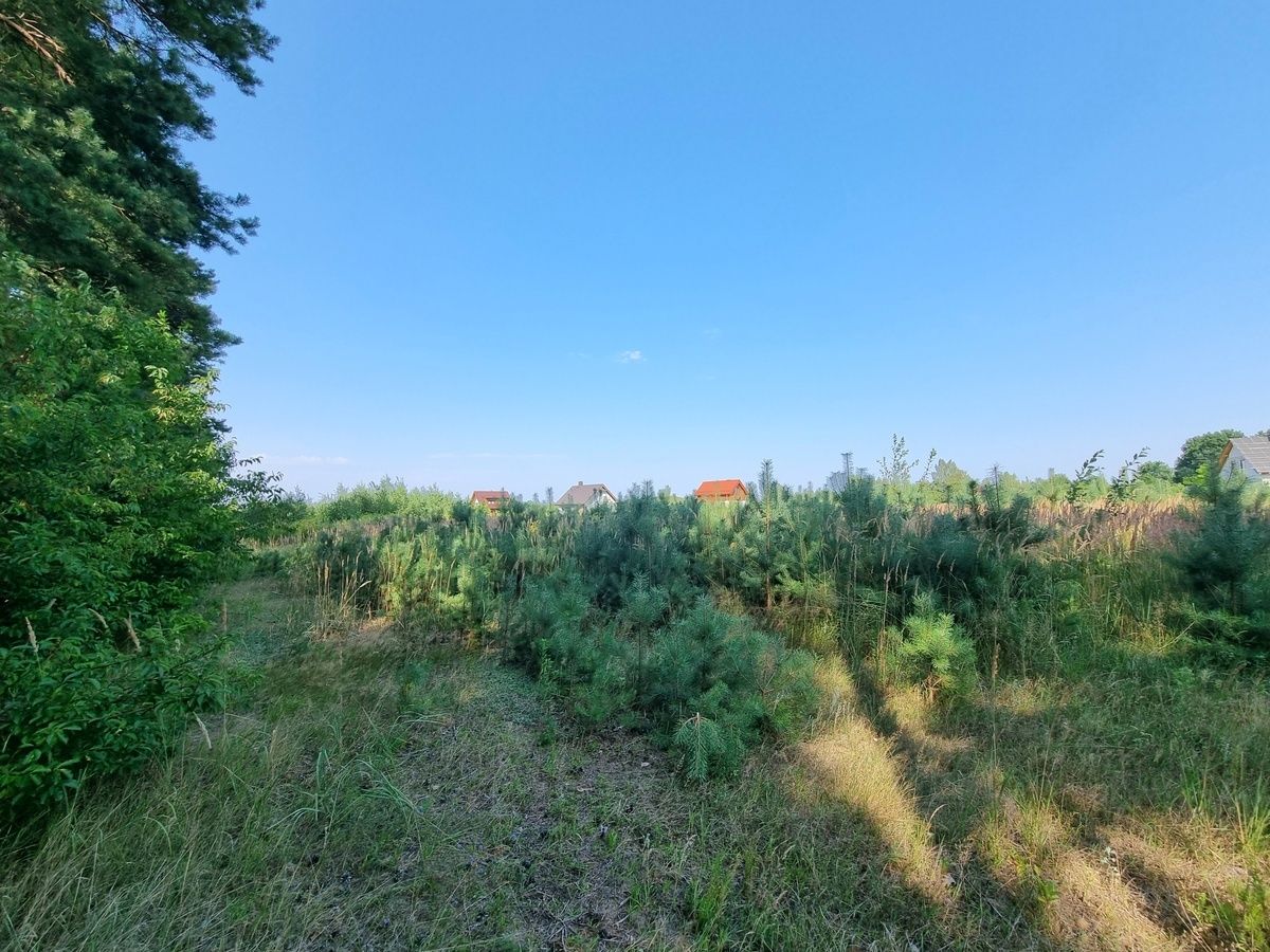 Działka budowlana Bagno. Zdjęcie 13