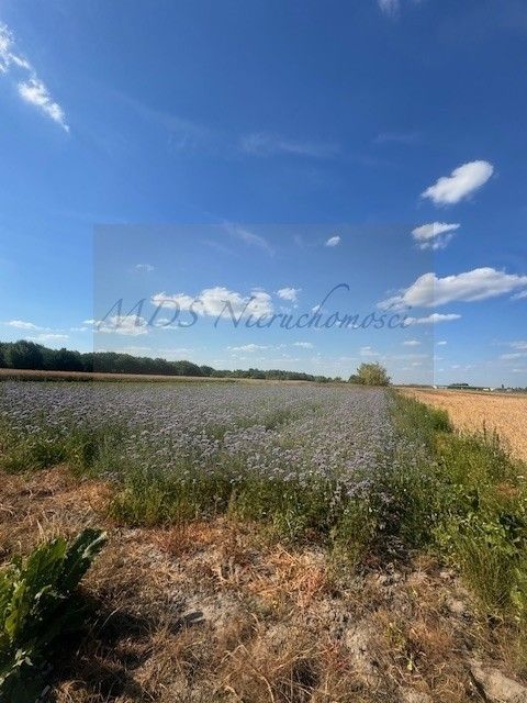 Działka budowlana Nowa Wola, ul. Ignacego Krasickiego. Zdjęcie 3